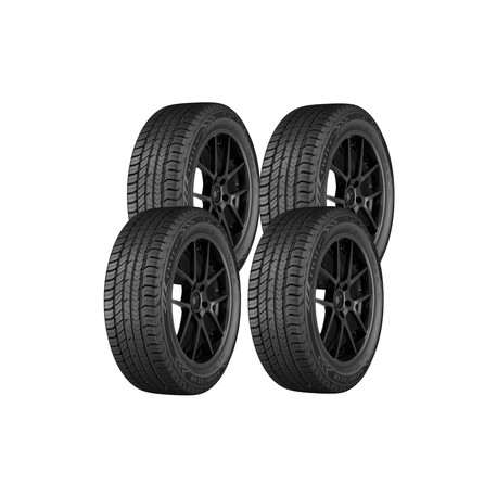 Paquete de 4 Llanta 205/55 R16 GOODYEAR EAGLE SPORT 2 91V